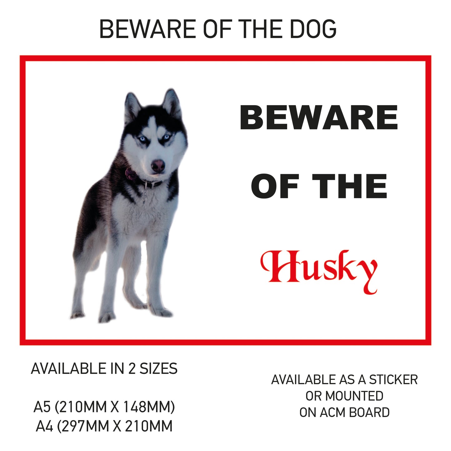 DS31-40 Funny Beware  Dog Vinyl Car Van Decal Printed Laminated Sticker Pet Animal Lover Various Designs Available