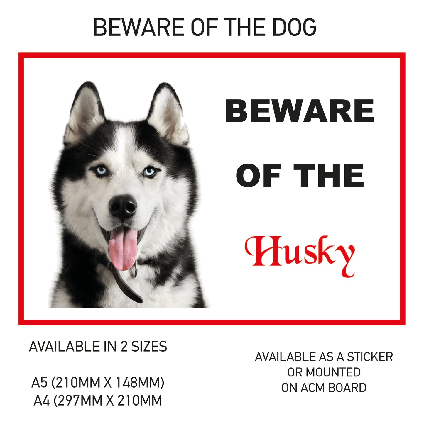 DS31-40 Funny Beware  Dog Vinyl Car Van Decal Printed Laminated Sticker Pet Animal Lover Various Designs Available