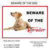DS31-40 Funny Beware  Dog Vinyl Car Van Decal Printed Laminated Sticker Pet Animal Lover Various Designs Available