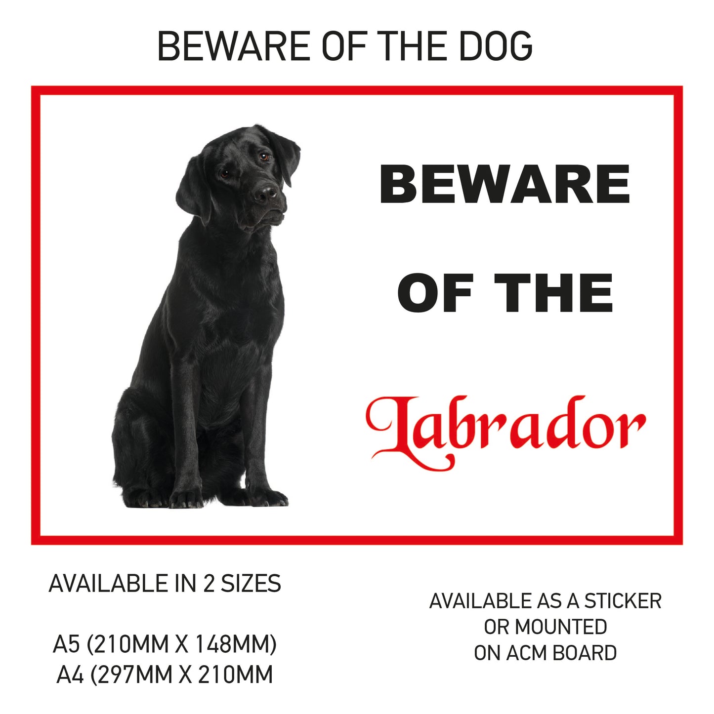 DS31-40 Funny Beware  Dog Vinyl Car Van Decal Printed Laminated Sticker Pet Animal Lover Various Designs Available