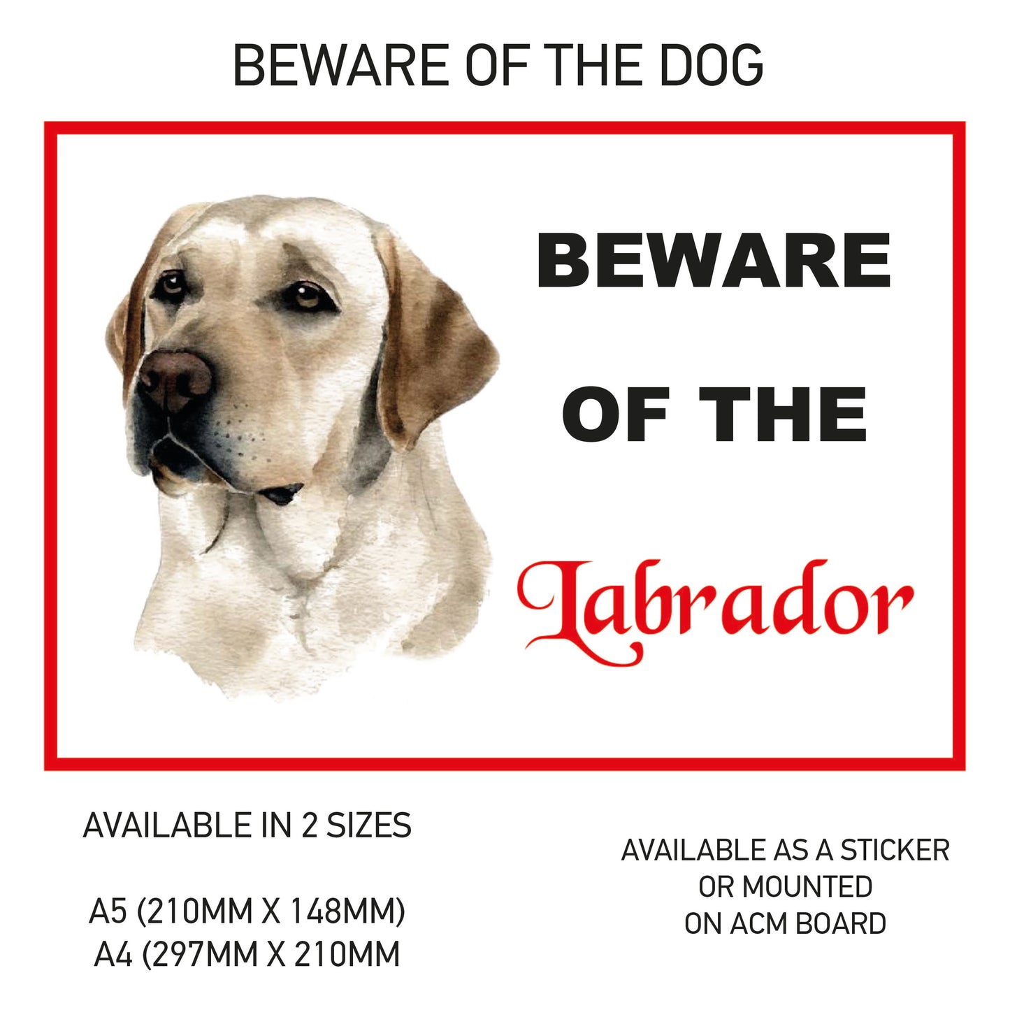 DS41-50 Funny Beware  Dog Vinyl Car Van Decal Printed Laminated Sticker Pet Animal Lover Various Designs Available