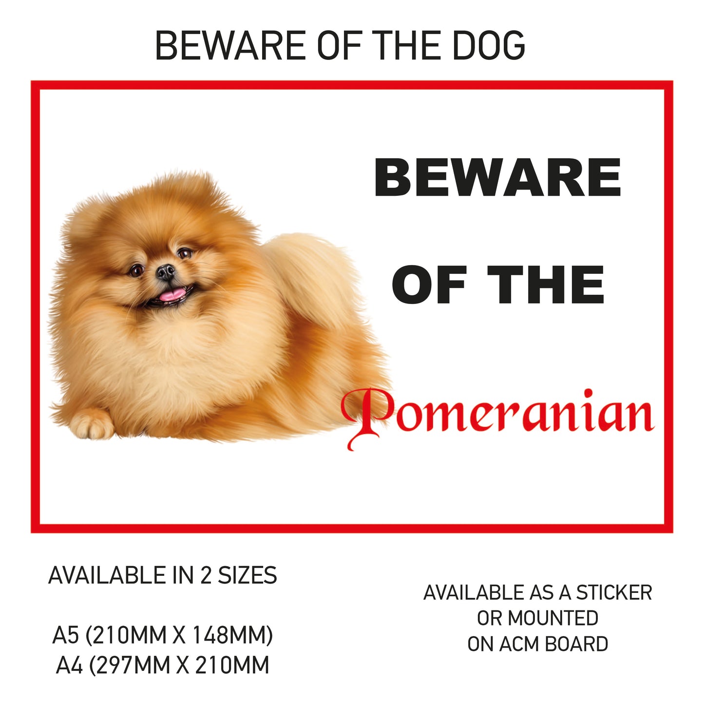 DS41-50 Funny Beware  Dog Vinyl Car Van Decal Printed Laminated Sticker Pet Animal Lover Various Designs Available