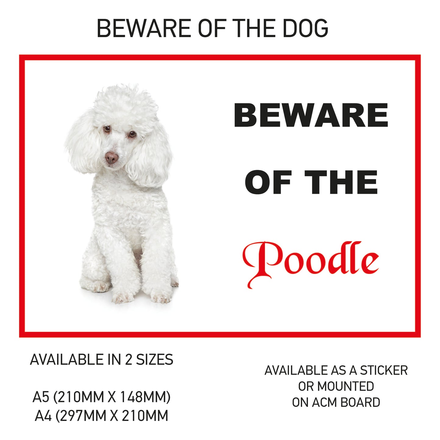DS41-50 Funny Beware  Dog Vinyl Car Van Decal Printed Laminated Sticker Pet Animal Lover Various Designs Available