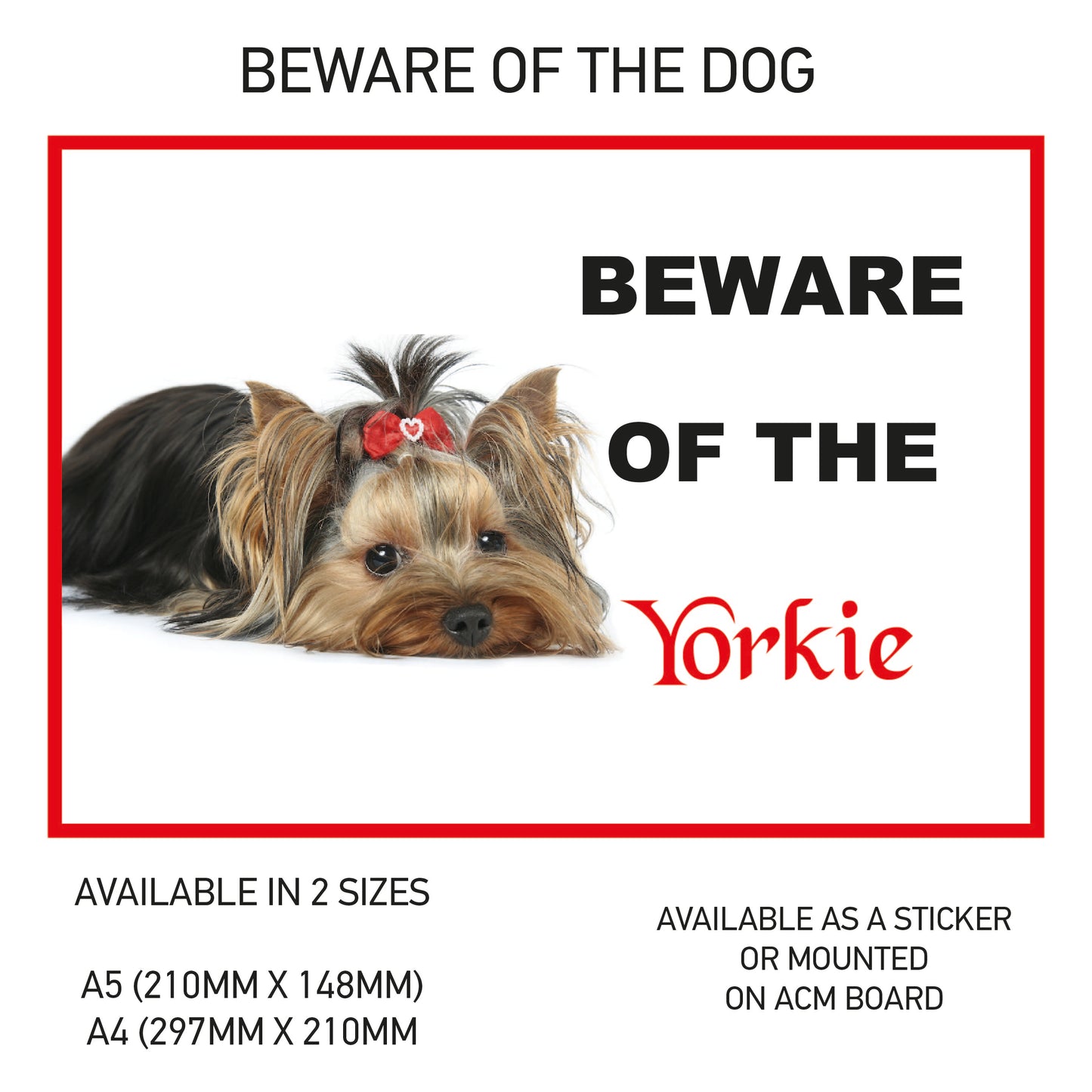 DS51-60 Funny Beware  Dog Vinyl Car Van Decal Printed Laminated Sticker Pet Animal Lover Various Designs Available