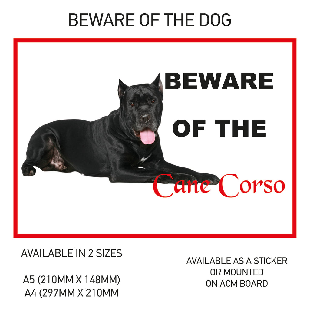 DS01-60 Funny Beware  Dog Vinyl Car Van Decal Printed Laminated Sticker Pet Animal Lover Various Designs Available