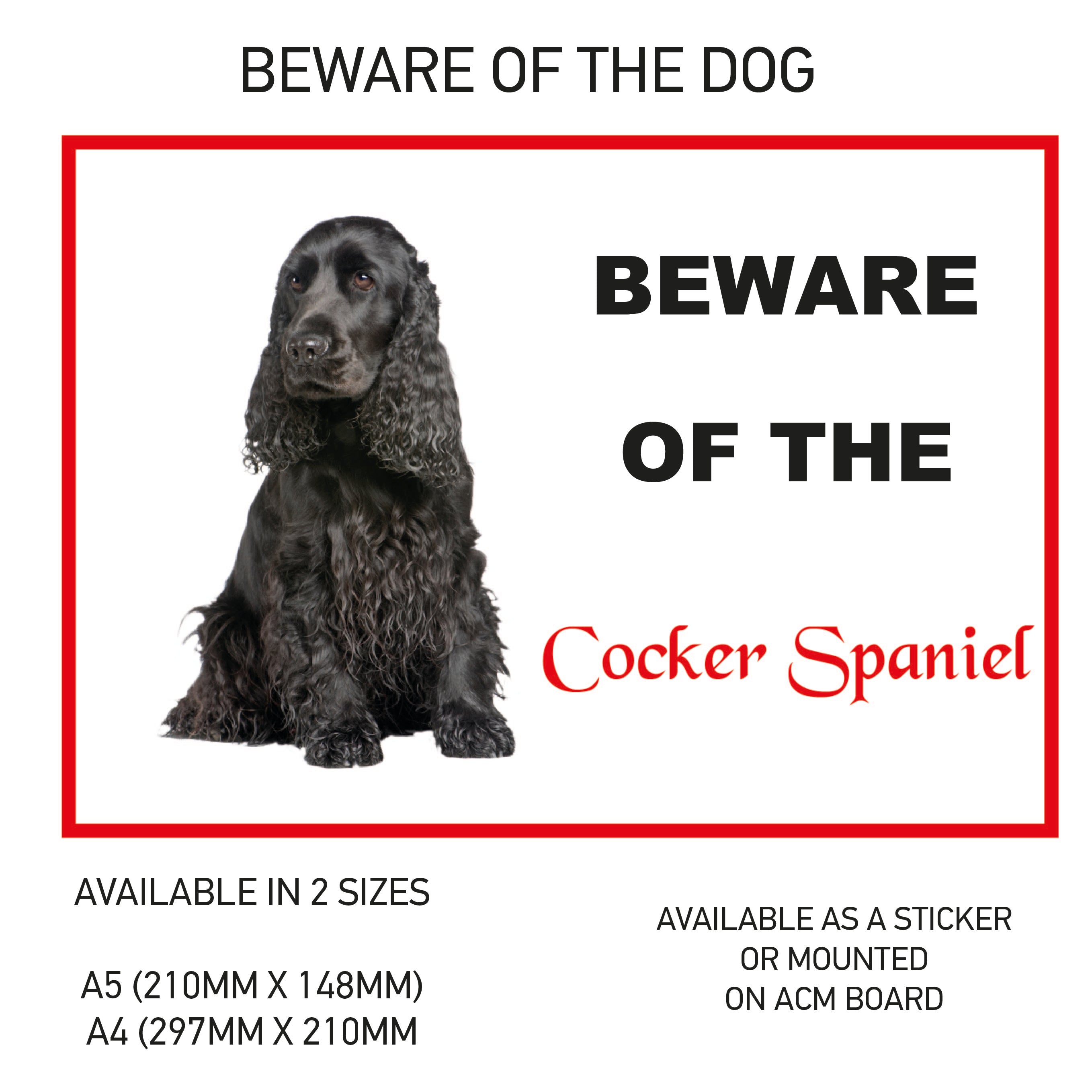 DS01-60 Funny Beware  Dog Vinyl Car Van Decal Printed Laminated Sticker Pet Animal Lover Various Designs Available