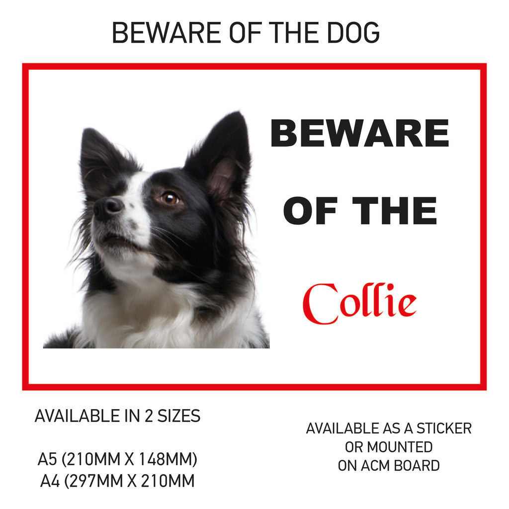 DS01-60 Funny Beware  Dog Vinyl Car Van Decal Printed Laminated Sticker Pet Animal Lover Various Designs Available