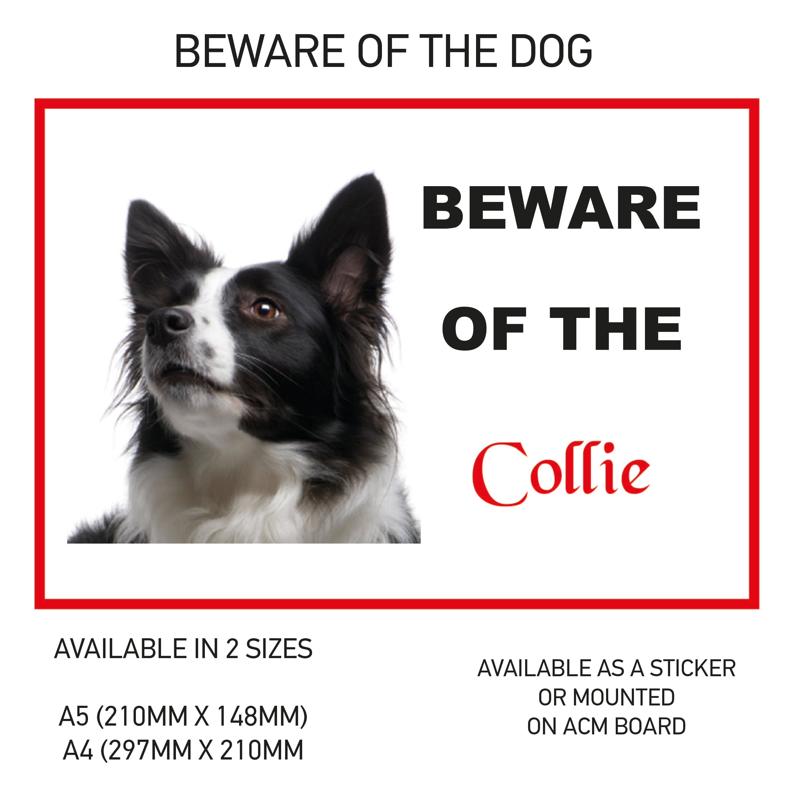 DS01-60 Funny Beware  Dog Vinyl Car Van Decal Printed Laminated Sticker Pet Animal Lover Various Designs Available