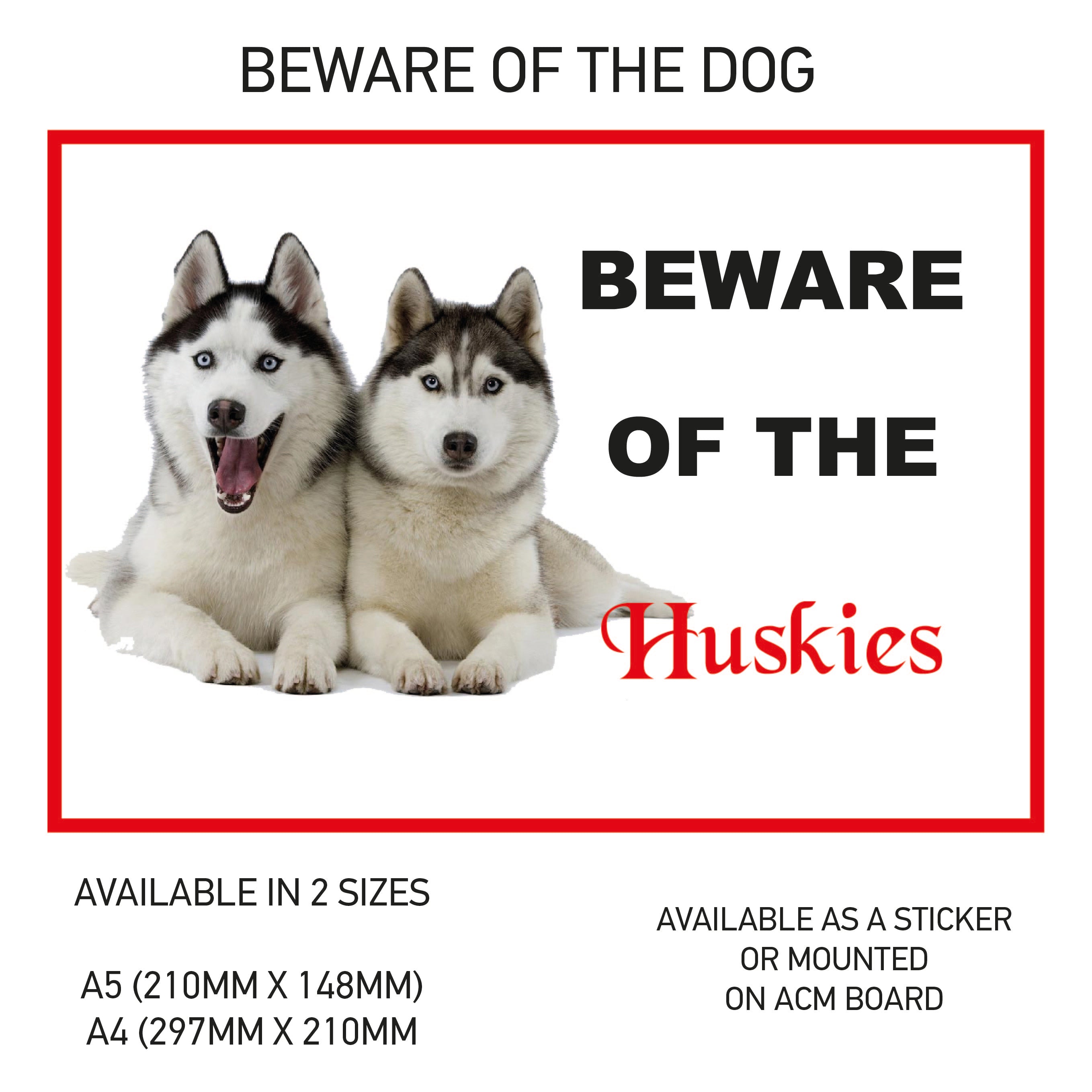 DS01-60 Funny Beware  Dog Vinyl Car Van Decal Printed Laminated Sticker Pet Animal Lover Various Designs Available