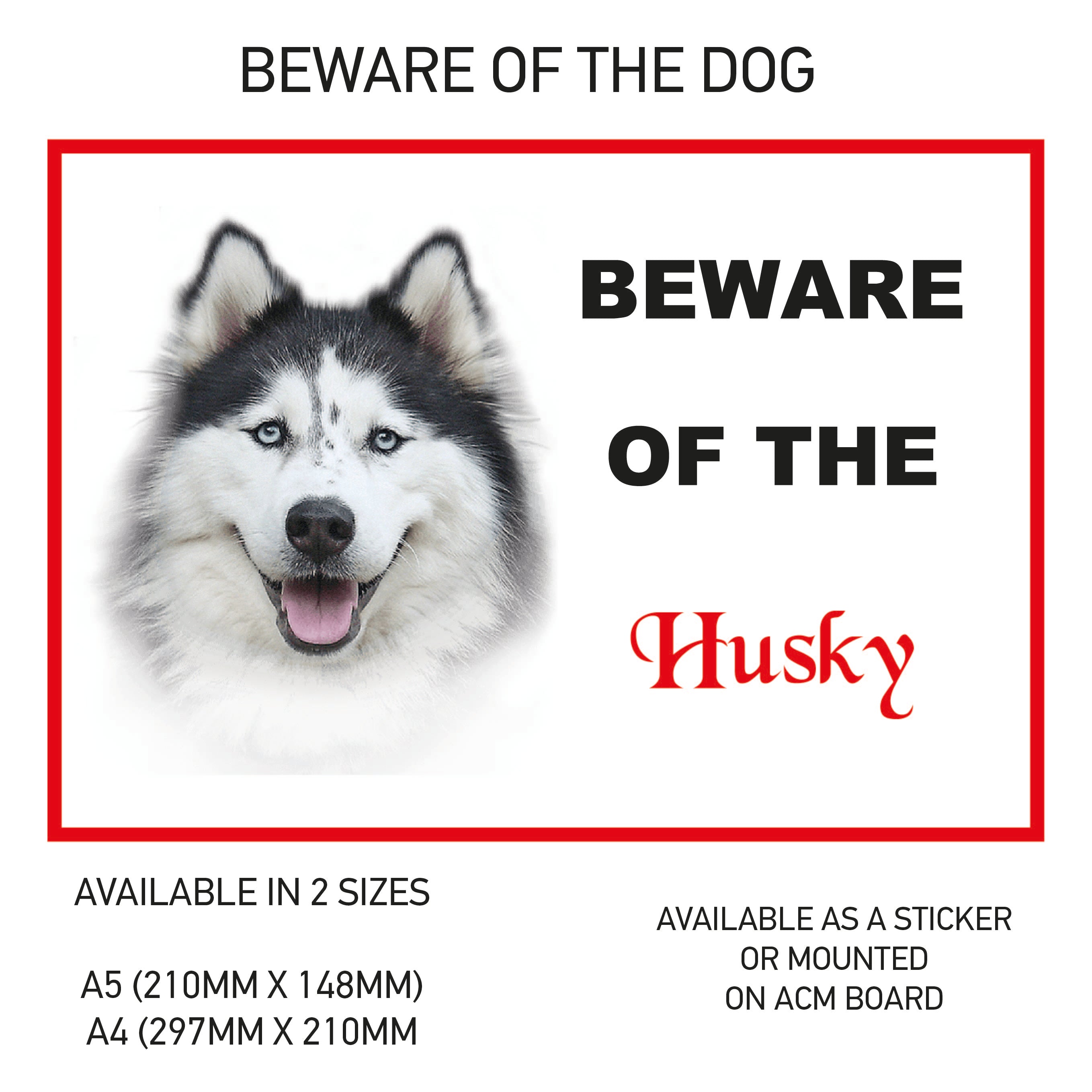 DS01-60 Funny Beware  Dog Vinyl Car Van Decal Printed Laminated Sticker Pet Animal Lover Various Designs Available