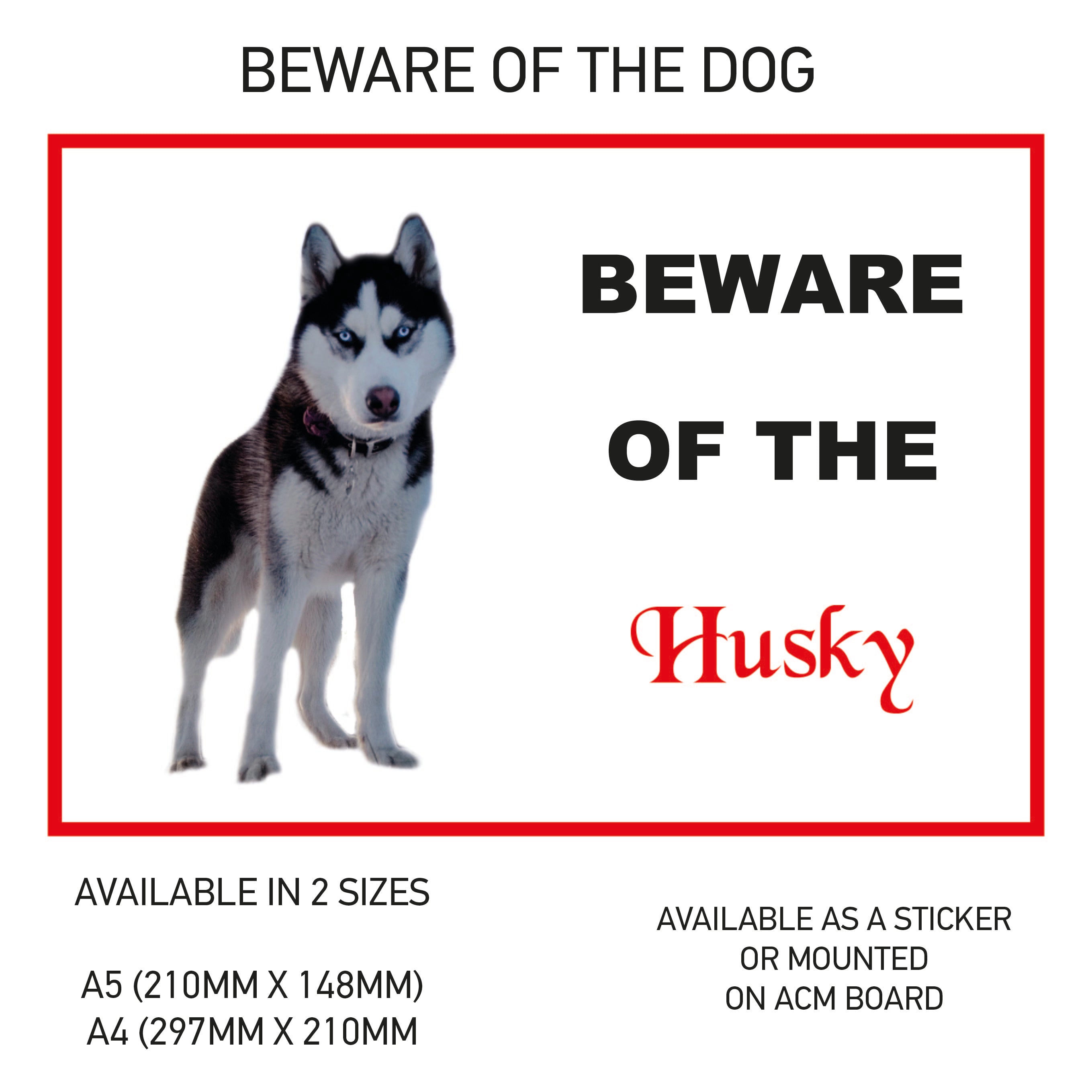 DS01-60 Funny Beware  Dog Vinyl Car Van Decal Printed Laminated Sticker Pet Animal Lover Various Designs Available