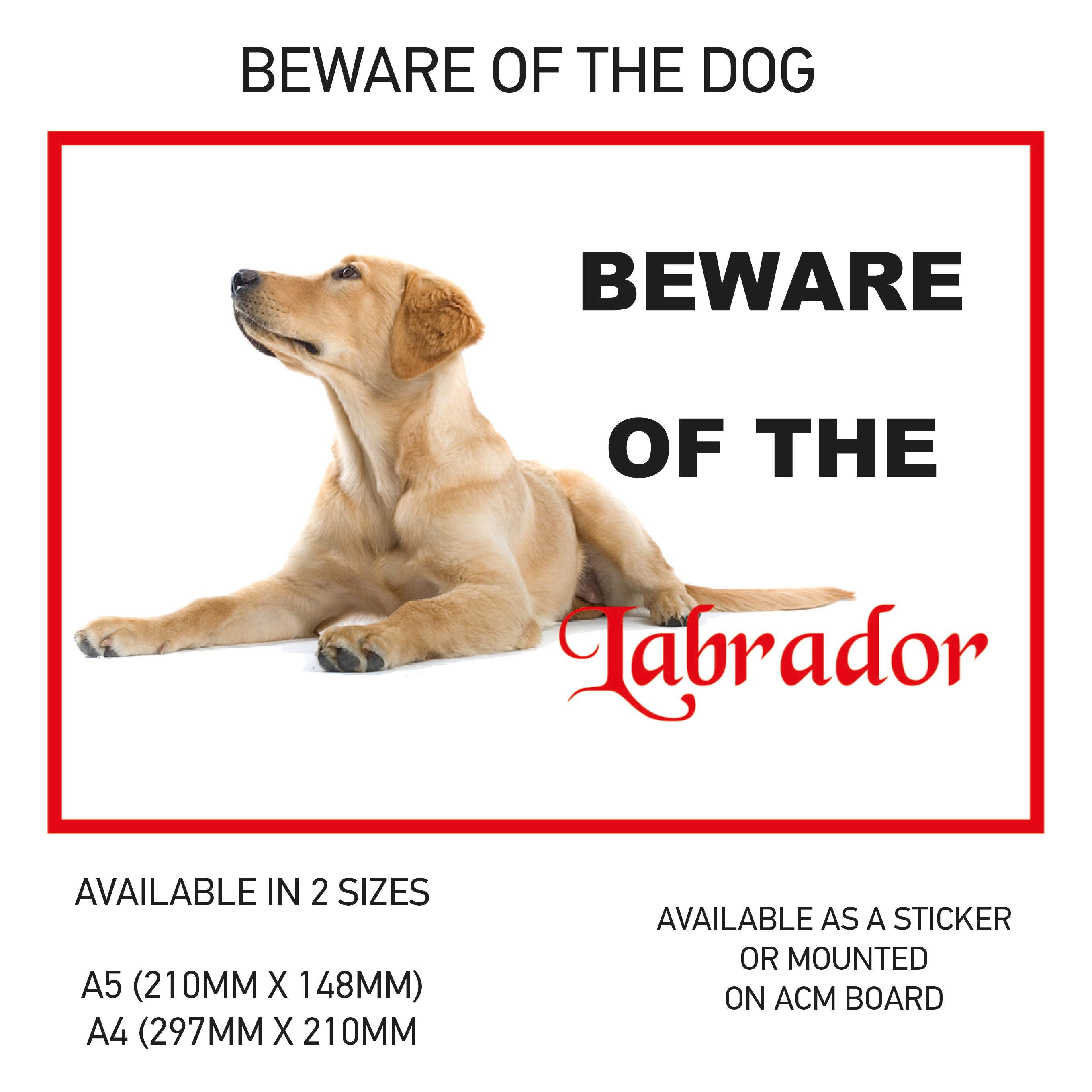 DS01-60 Funny Beware  Dog Vinyl Car Van Decal Printed Laminated Sticker Pet Animal Lover Various Designs Available