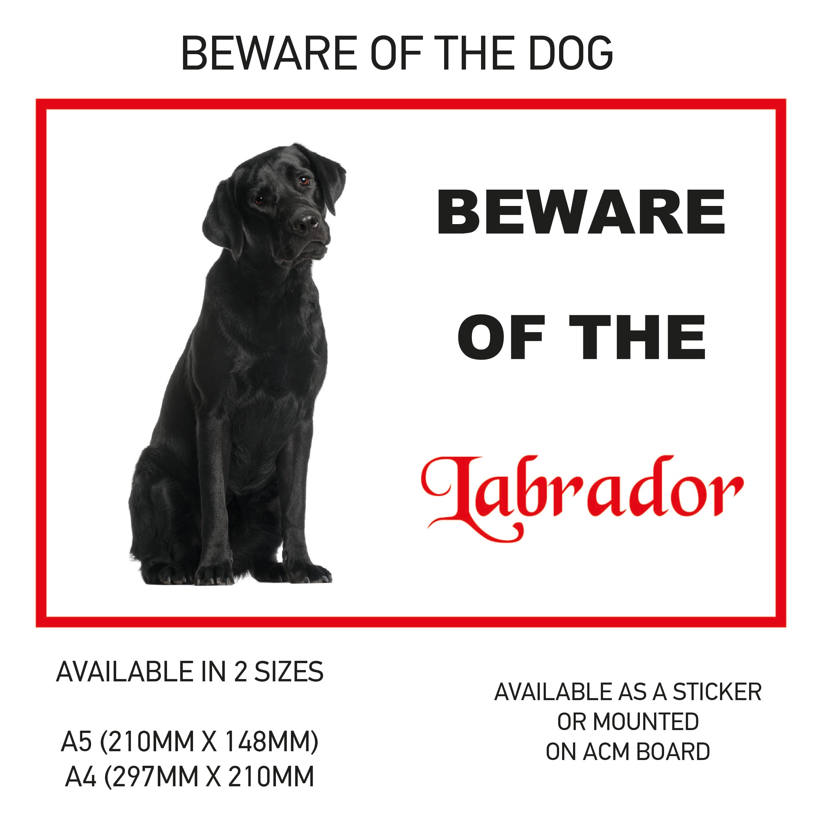 DS01-60 Funny Beware  Dog Vinyl Car Van Decal Printed Laminated Sticker Pet Animal Lover Various Designs Available