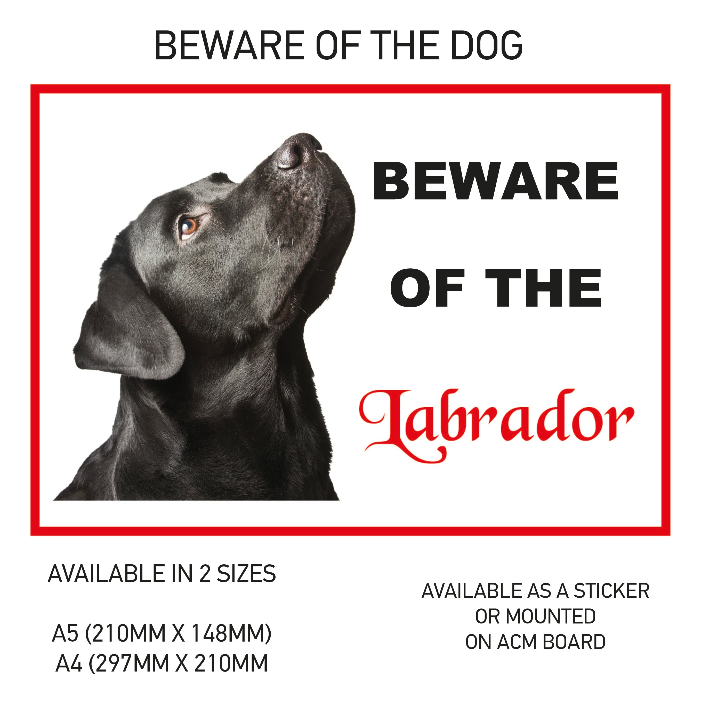 DS01-60 Funny Beware  Dog Vinyl Car Van Decal Printed Laminated Sticker Pet Animal Lover Various Designs Available