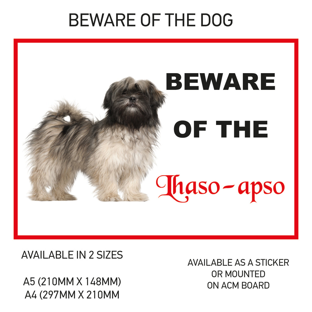 DS01-60 Funny Beware  Dog Vinyl Car Van Decal Printed Laminated Sticker Pet Animal Lover Various Designs Available