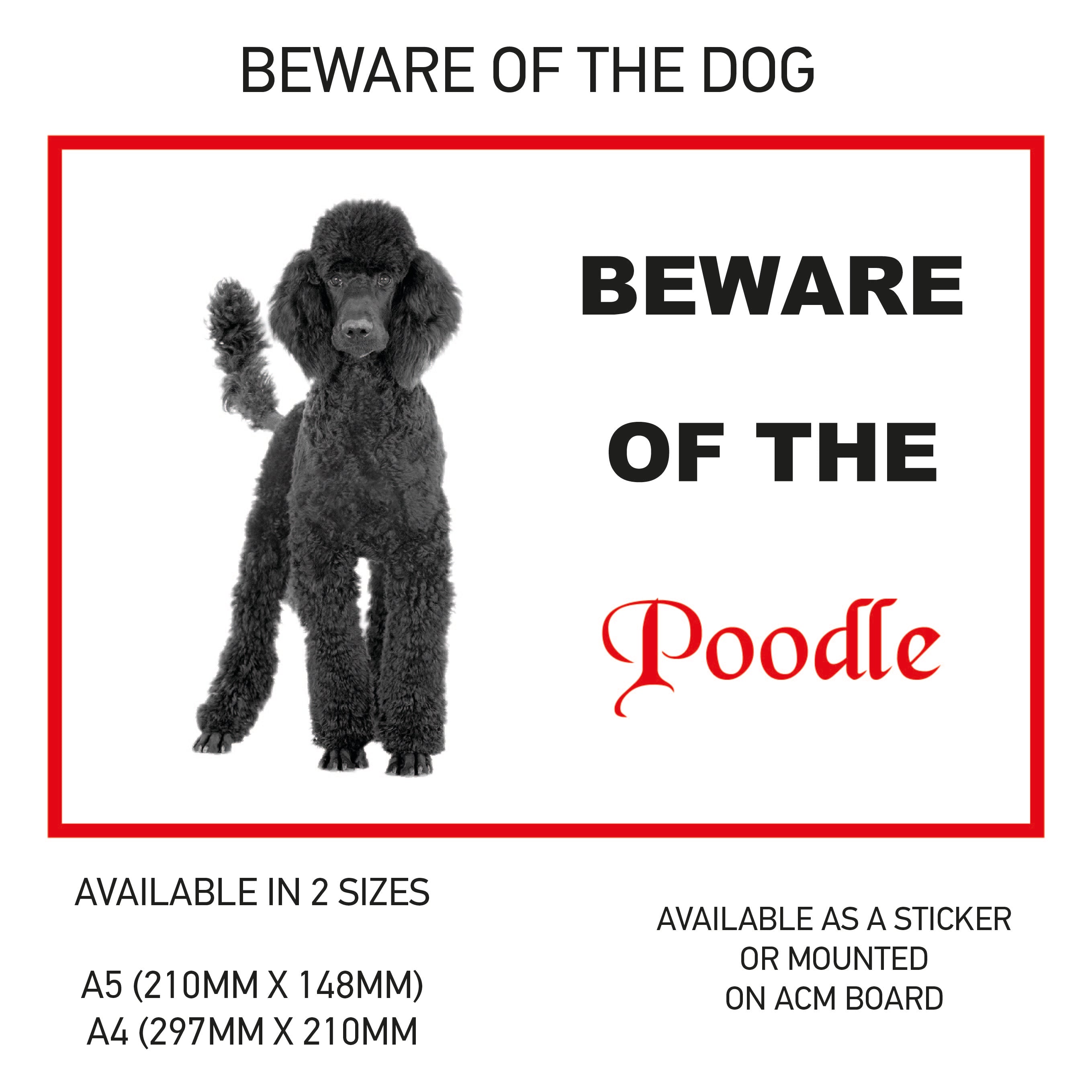 DS01-60 Funny Beware  Dog Vinyl Car Van Decal Printed Laminated Sticker Pet Animal Lover Various Designs Available