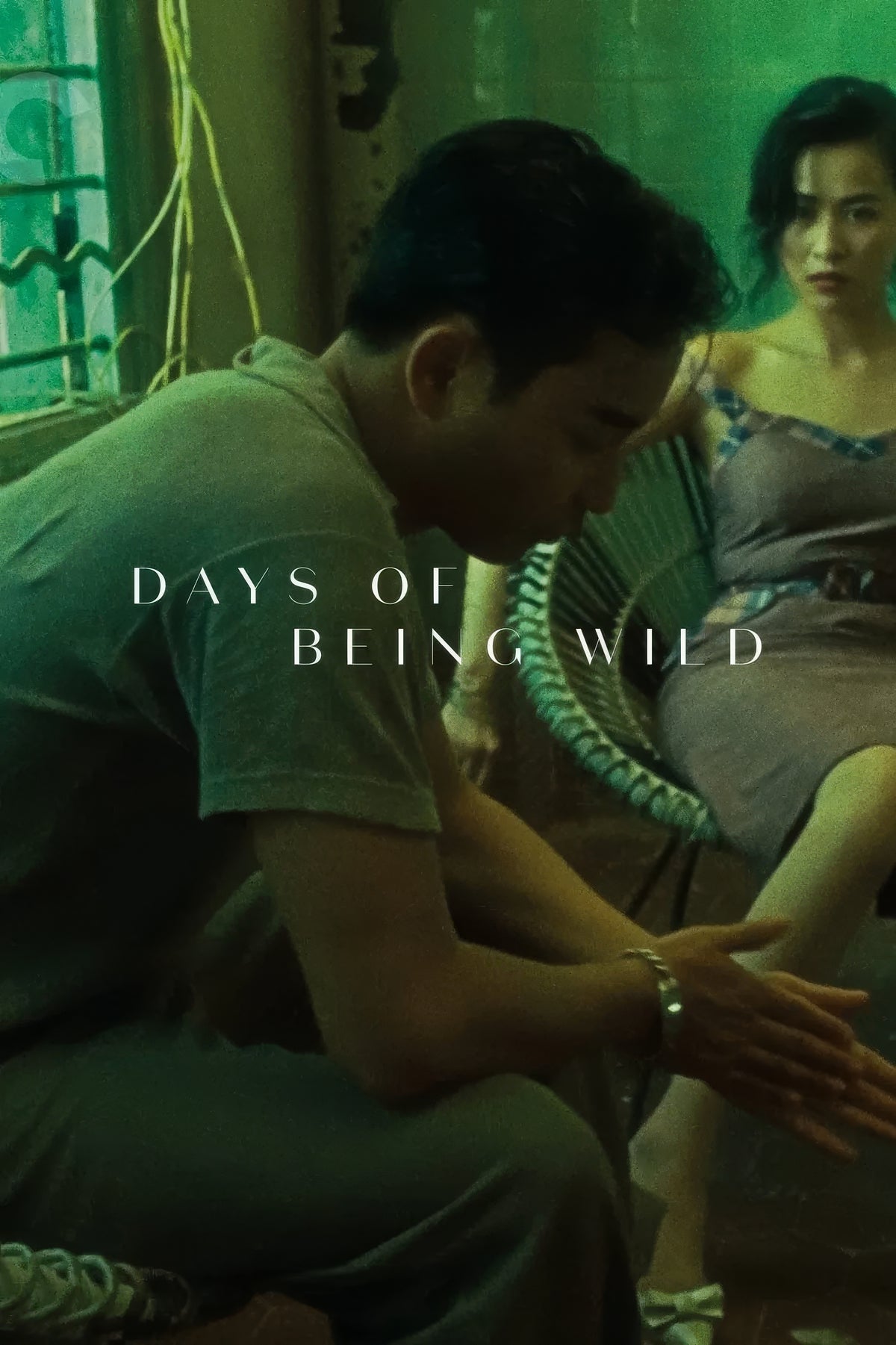Days of Being Wild (1990) Film/Movie Premium Waterproof & Tear Resistant Posters