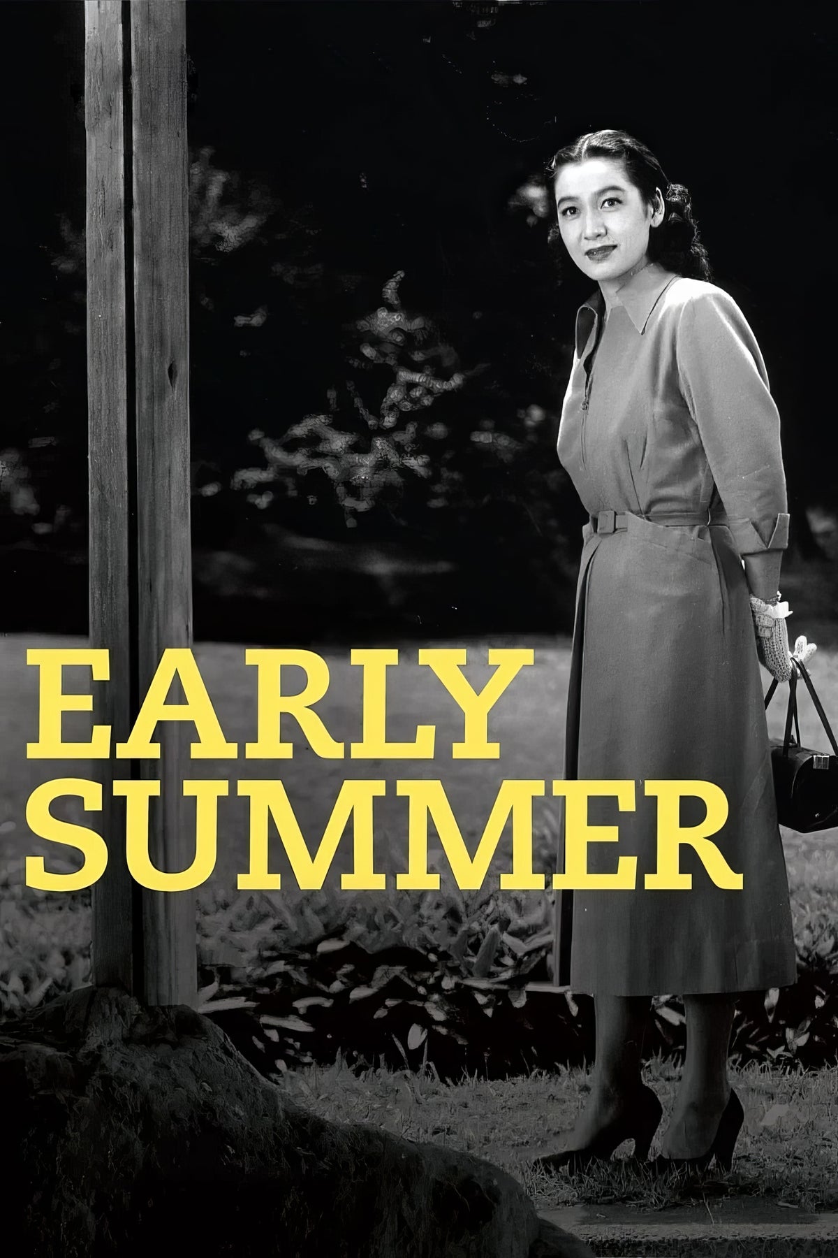 Early Summer (1951) Film/Movie Premium Waterproof & Tear Resistant Posters