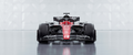 F1P27 Formula 1 Panoramic Premium Waterproof & Tear Resistant Poster
