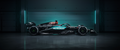 F1P44 Formula 1 Panoramic Premium Waterproof & Tear Resistant Poster