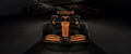 F1P54 Formula 1 Panoramic Premium Waterproof & Tear Resistant Poster