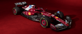 F1P65 Formula 1 Panoramic Premium Waterproof & Tear Resistant Poster