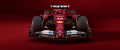 F1P68 Formula 1 Panoramic Premium Waterproof & Tear Resistant Poster