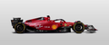 F1P14 Formula 1 Panoramic Premium Waterproof & Tear Resistant Poster