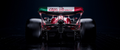 F1P17 Formula 1 Panoramic Premium Waterproof & Tear Resistant Poster