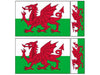 FLAG04A Wales Flags 2 x 100mm 2 x 50mm