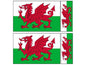FLAG04A Wales Flags 2 x 100mm 2 x 50mm