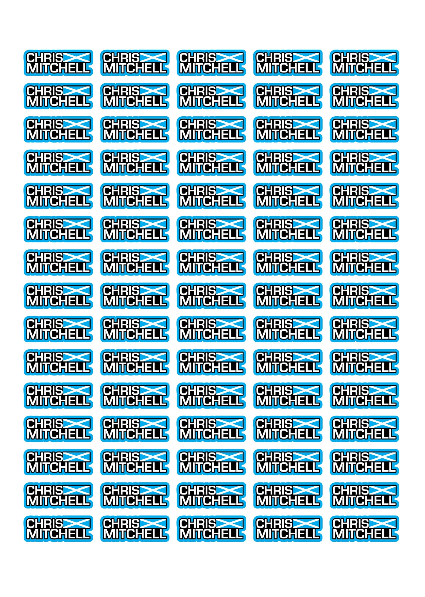 Flag Race Name Stickers For 1/10th scale Radio Controlled Vehicle A4,A5 Available