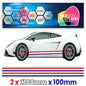FR2.1/100x2 French Side Stripe 2100mm x 100mm for Porsche