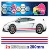 FR2.1/200x2 French Side Stripe 2100mm x 200mm for Porsche