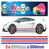 FR2.1 French Racing Side stripe 2x2.1m (2100mm) Long laminated for Renault Peugeot Citroen sticker graphics various widths available
