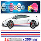 FR2.1/300x2 French Side Stripe 2100mm x 300mm for Porsche