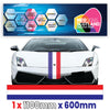 FR1.1/600x1 French Bonnet Stripe 1100mm x 600mm for Porsche