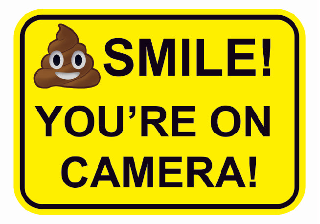 FS46-51 Smile You're on Camera Stickers A4 & A5