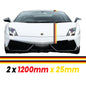 GRPIN25 German Pin Stripes 1200mm X 25mm for Porsche