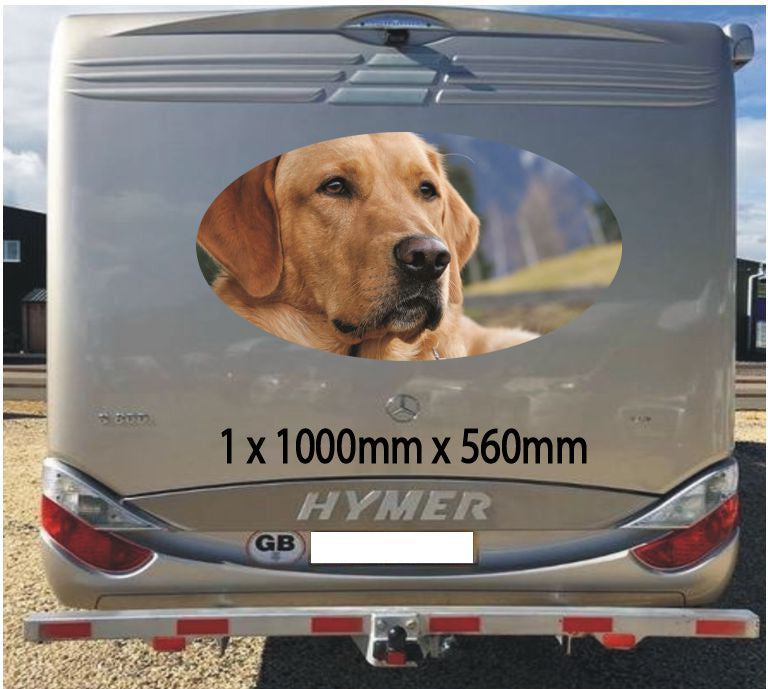 MH10 Campervan Graphics Stickers 1 x 1000mm x 560mm