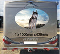MH11 Campervan Graphics Stickers 1 x 1000mm x 620mm