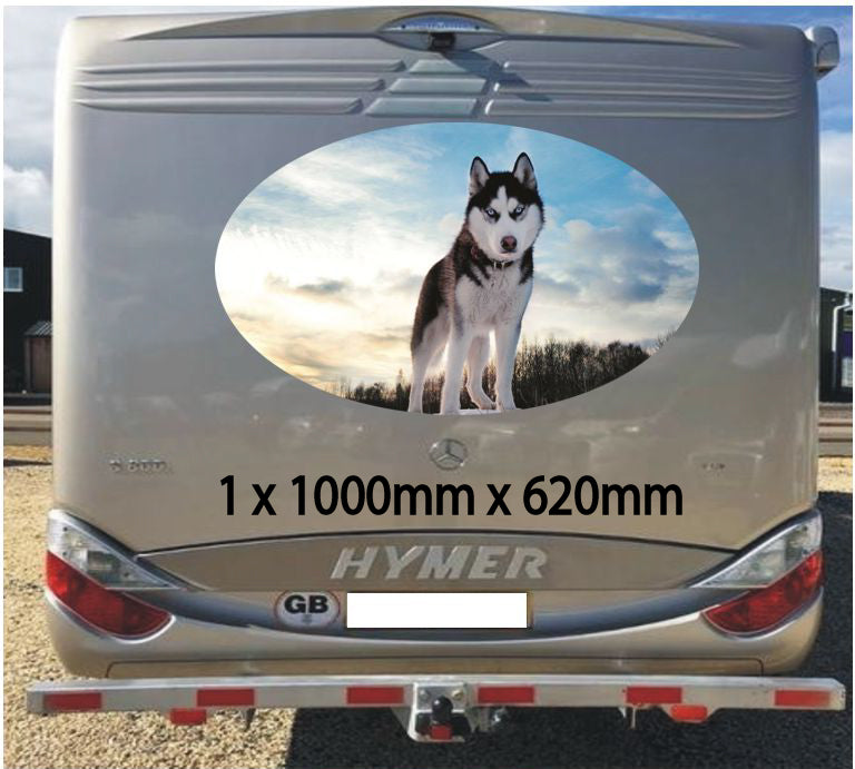 MH11 Campervan Graphics Stickers 1 x 1000mm x 620mm