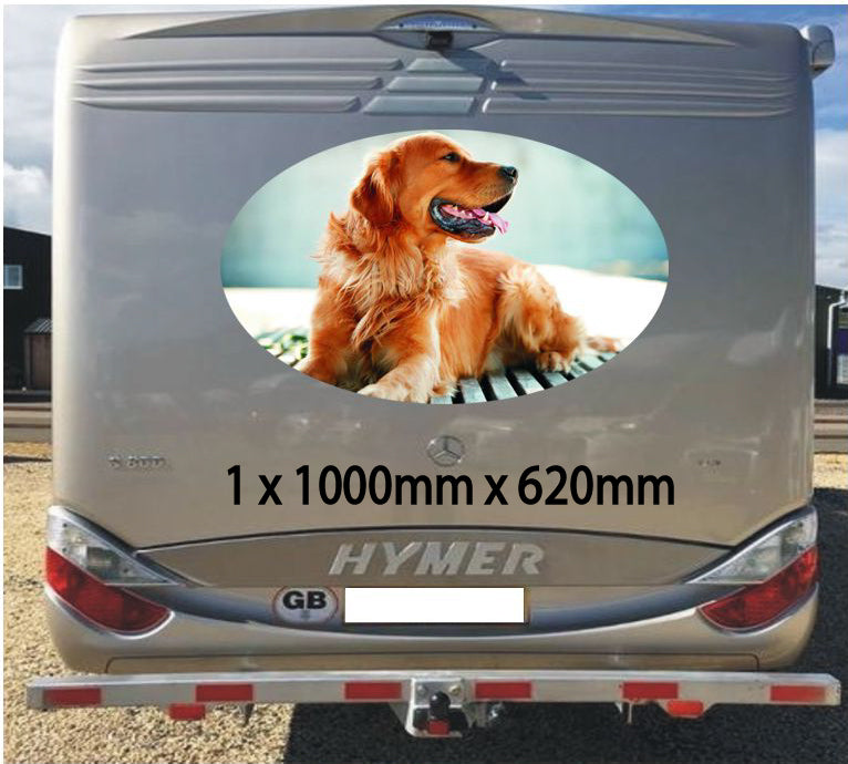 MH05 Campervan Graphics Stickers 1 x 1000mm x 620mm