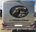MH07 Campervan Graphics Stickers 1 x 1000mm x 620mm