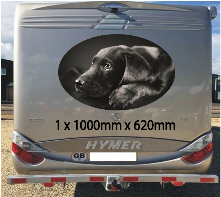 MH07 Campervan Graphics Stickers 1 x 1000mm x 620mm
