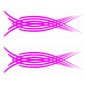 NEO00551-NEO00560 Pinstripe Design 7 Car Bike Van Truck Boat Vinyl Graphic Sticker Decal Various Designs Available