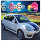 NEO00812FI Ott stripes and side stripe fiesta mk6
