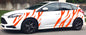 NEO00946A Tiger stripes 2 vinyl for Focus 1 colour