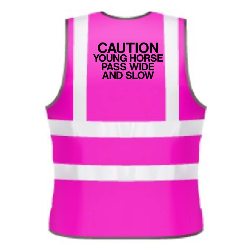NEO00950K Caution Young Horse Pass Wide And Slow Kids Hi-Viz Vests 4 Colours Available