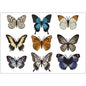 PS0001-100 Stickers Sheets Decals Butterflies Wall Self Adhesive Vinyl A4 Various Designs Available